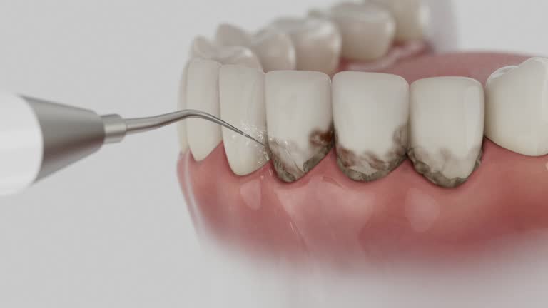 Reliable Dental contractor in Clinton, MD by Dentist Open Now